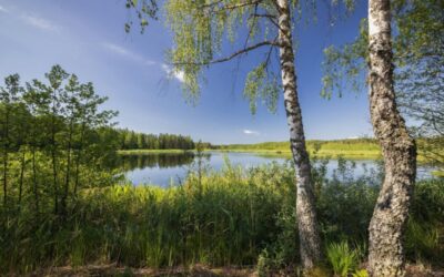 Wesele nad Jeziorakiem – dlaczego jezioro jest najpiękniejszym tłem dla Waszej przysięgi?